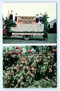 Postcard OR Harrisburg Detering Orchards Peaches Delivery Truck c1950s I13