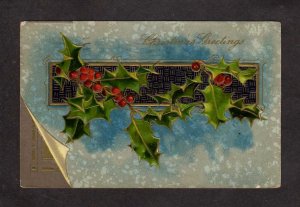 Christmas Greetings Holly Berries Postcard Embossed 1910 US PC