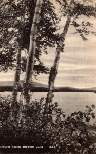 Maine Bridgton Lakeside Birches 1941