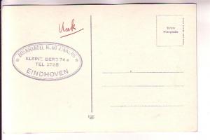 Real Photo, Swans in Park, Eindhoven, Netherlands,