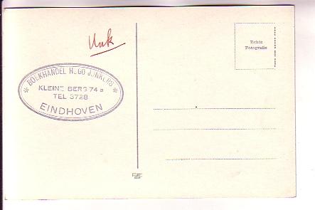 Real Photo, Swans in Park, Eindhoven, Netherlands,