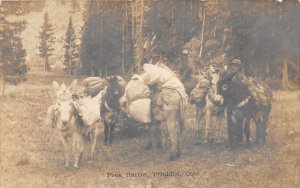 J39/ Trinidad Colorado RPPC Postcard c1910 Pack Burros Miners Mine 270