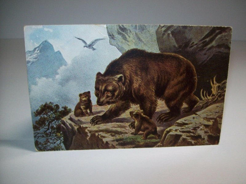 Black Bears Perlbera Vintage Postcard Unused Original Antique Series 562 CA & Co