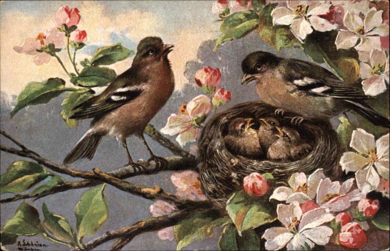 G.A. Novelty Art Series Song Birds at Nest with Fledglings Baby Birds c1910 PC