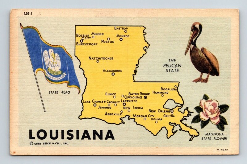 Louisiana Pelican State Map & Flag Magnolia Flowers Linen UNP Postcard 