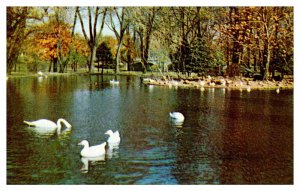 Postcard WATER SCENE South Bend Indiana IN AP1412