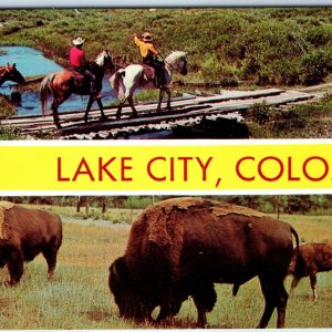 c1970s Lake City, CO Greetings Multi Horse Bridge Buffalo Chrome Postcard A264