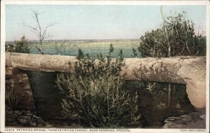 Petrified Forest Arizona AZ Petrified Bridge Detroit Pub c1900s-20s Postcard