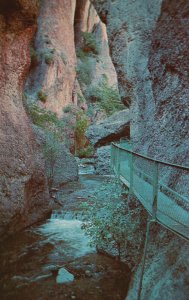 Vintage Postcard The Catwalk Above Whitewater Campground Glenwood New Mexico NM 