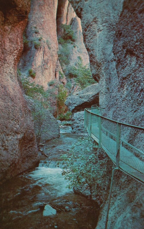 Vintage Postcard The Catwalk Above Whitewater Campground Glenwood New Mexico NM 