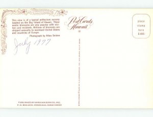 Pre-1980 GARDENER IN FLOWER GARDEN Big Island Of Hawaii HI AD5913