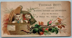 SALEM MA BOOTS SHOES ANTIQUE ADVERTISING VICTORIAN TRADE CARD CATS in BASKET  