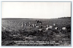 c1910's Harvesting Potatoes Farming Presque Isle Maine ME Photo RPPC Postcard