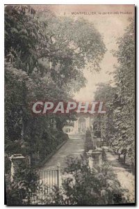 Old Postcard MONTPELLIER Jardin des Plantes