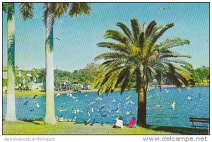 Florida Saint Petersburg Mirror Lake