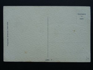 Fruit Berries & Nuts Study PLUM c1910 Italian Postcard