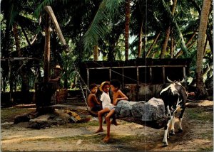 VINTAGE CONTINENTAL SIZE POSTCARD PROCESSING COCONUT OIL AT LA DIGUE SEYCHELLES