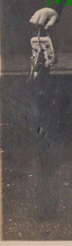 Sports Ancestor Postcard - Cricket Player, Cricketeer, Men's Fashion   RS33746