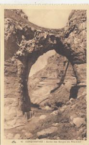 BF18923 sortie des gorges du rhummel  constantine algeria front/back image