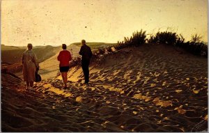 Vtg Cape Cod Massachusetts Twilight on the Dunes 1960s Chrome View Postcard