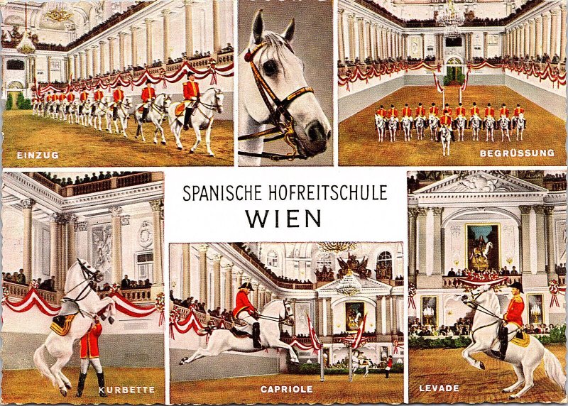 Spanish Court Riding School Postcard Continental View Card 