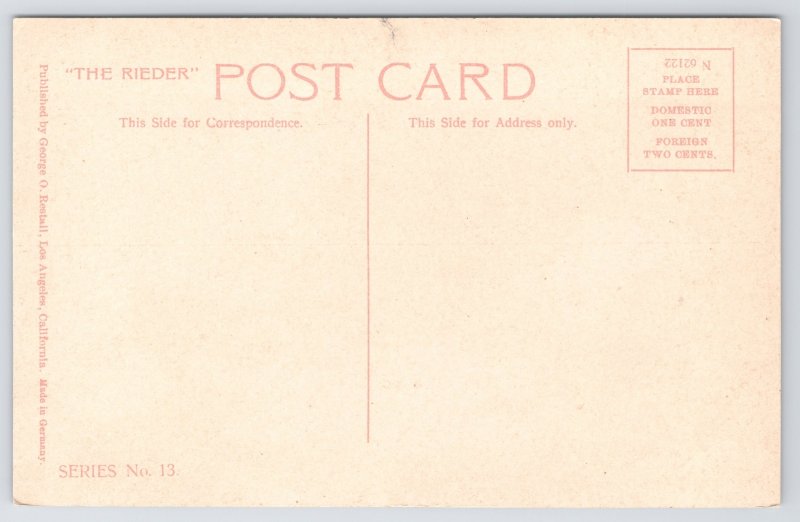 State View~Air View Alligator Head & Pacific Coast~Vintage Postcard