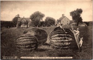 Exaggeration, Men Climb Ladders to Carve Watermelons in OK Vintage Postcard S65