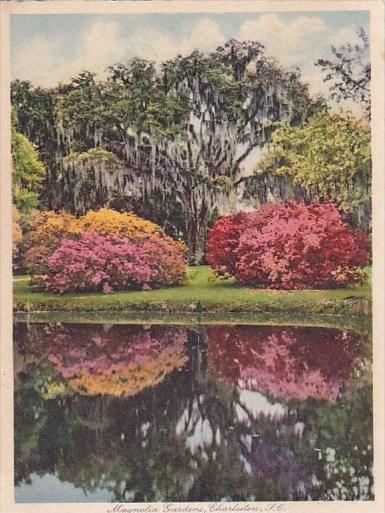 The Most Beautiful Gardens In The World Magnolia Gardens Charleston South Car...