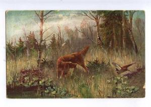 235074 HUNT Irish SETTER & WOODCOCK by MULLER Vintage PC