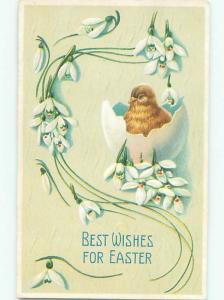Divided-Back EASTER CHICK SCENE Cute Postcard AA1036