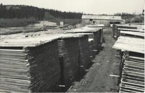Lumber Yard WA Washington ? Logging Forestry c1940s-60s Real Photo Postcard E10