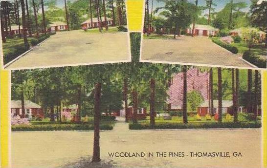 Georgia Thomasville Woodland In The Pines