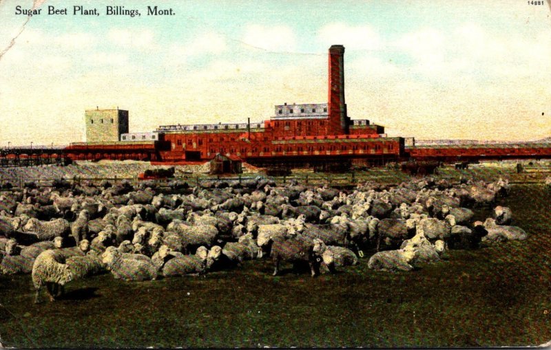 Montana Billings Sugar Beet Plant 1910