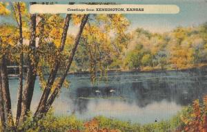 Kensington Kansas Greetings From view of ducks on lake linen antique pc Z51241
