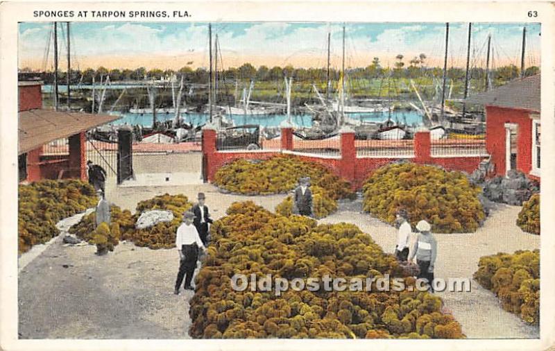 Sponges Tarpon Springs, Florida, FL, USA 1934