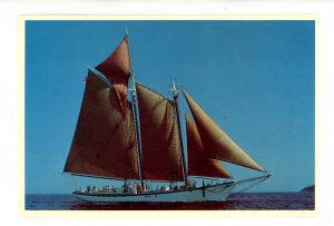 ME - Camden. Schooner Roseway       (continental size)