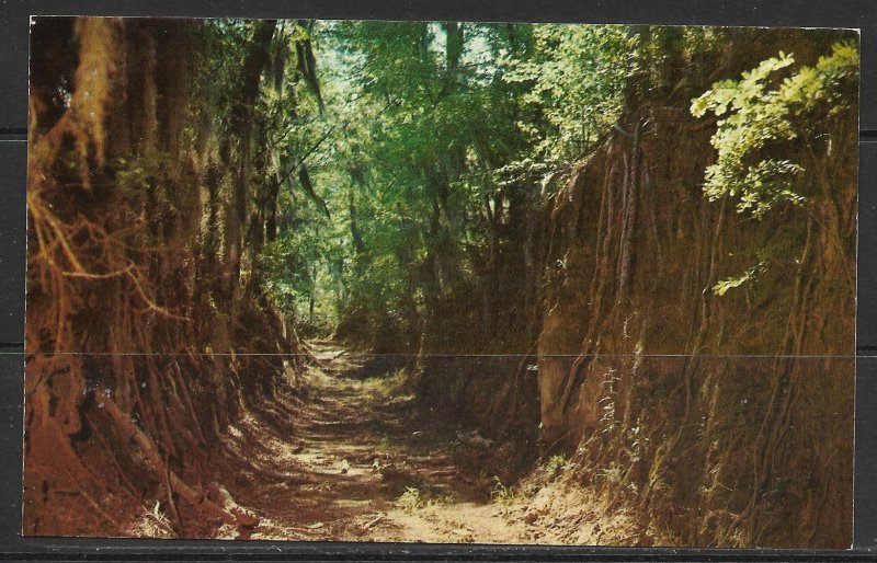 Mississippi, Natchez - Trace Parkway - [MS-049]