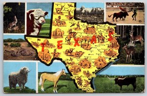 State Map~Texas Multi-View~Dalhart~Laredo~Pecos~Crockett~Cisco~Vintage Postcard
