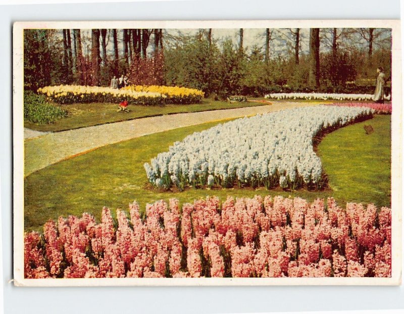 Postcard Garden People Park Nature Scenery