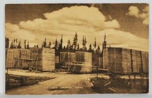 Orofino Idaho Lumber Yard Postcard S1