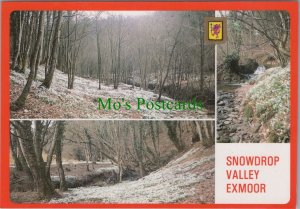 Somerset Postcard - Views of Snowdrop Valley, Exmoor  RR15685