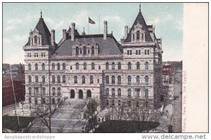 New York Albany The Capitol