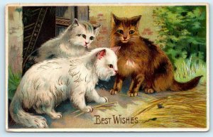 BEST WISHES ~ WHITE CATS & Brown Kitty Gold Lettering & Embossing 1914 Postcard