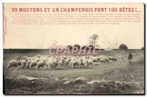 Postcard Old 99 Sheep And A Champagne Font 100 betes