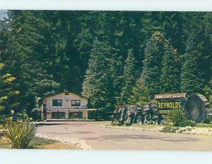 Pre-1980 REYNOLDS REDWOODS MOTEL CABINS Piercy - Garberville California CA j6444