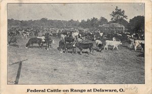 H28/ Delaware Ohio Postcard c1910 Federal Cattle on Range Farming
