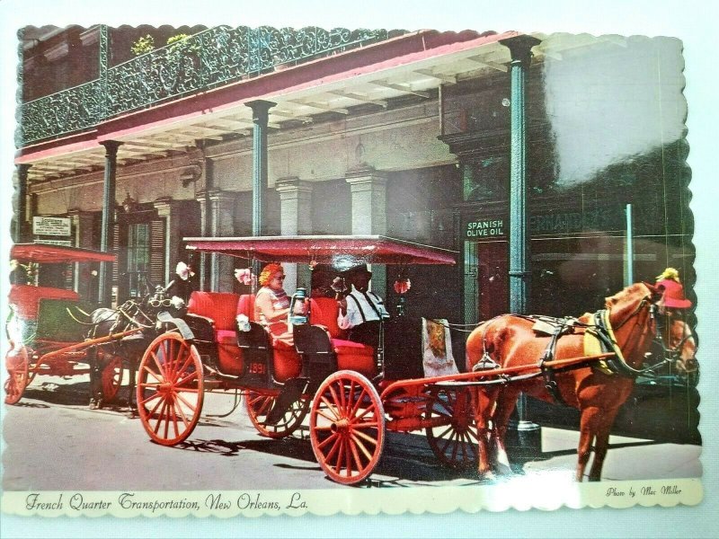 Vintage Postcard French Quarter Transportation New Orleans LA Buggy with Horse