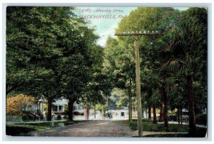 1907 Riverside Drive Dirt Road Carriage Lined Trees Jacksonville FL Postcard 