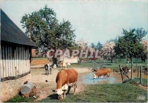Postcard Modern Charm and colors of Normandy Farm Normandy