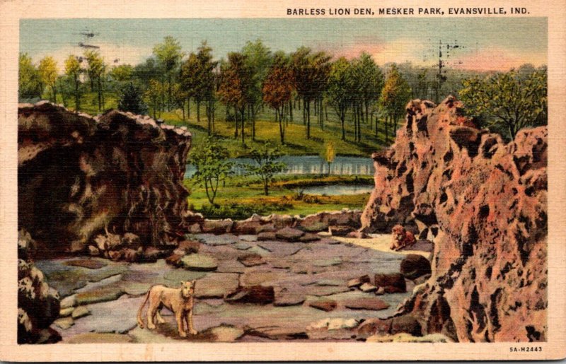 Indiana Evansville Mesker Park Barless Lion Den 1938 Curteich